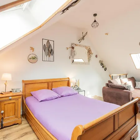 Les Anatides, Apartment