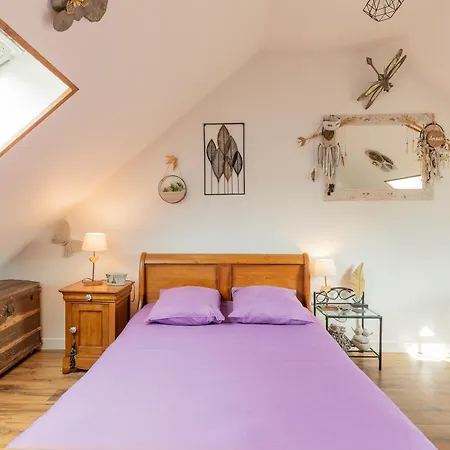 Les Anatides, Apartment